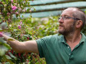 Fuchsie výstava Liberec 2018 Jiří Plachý