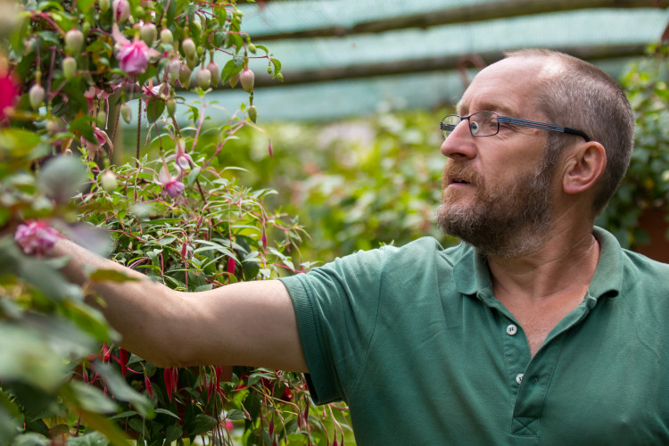 Fuchsie výstava Liberec 2018 Jiří Plachý