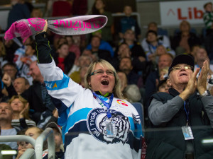 Zápas Bílí tygři Liberec proti BK Mladá Boleslav