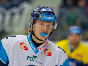 Zápas Bílých Tygrů Liberec proti PSG Berani Zlín