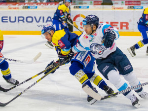 Zápas Bílých Tygrů Liberec proti PSG Berani Zlín