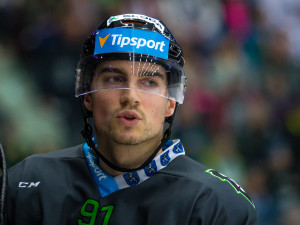 Bílí Tygři Liberec vs. BK Mladá Boleslav (32. kolo extraligy)