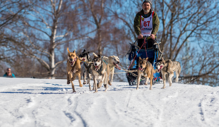 Zásadský Sprint a Mid