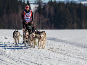Zásadský Sprint a Mid