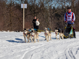 Zásadský Sprint a Mid