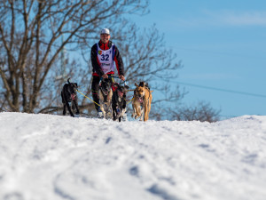 Zásadský Sprint a Mid