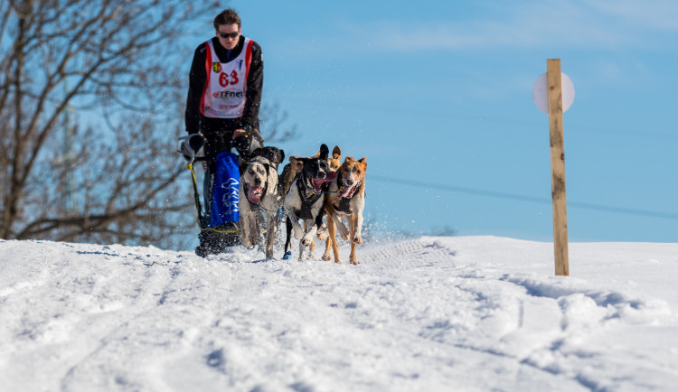 Zásadský Sprint a Mid