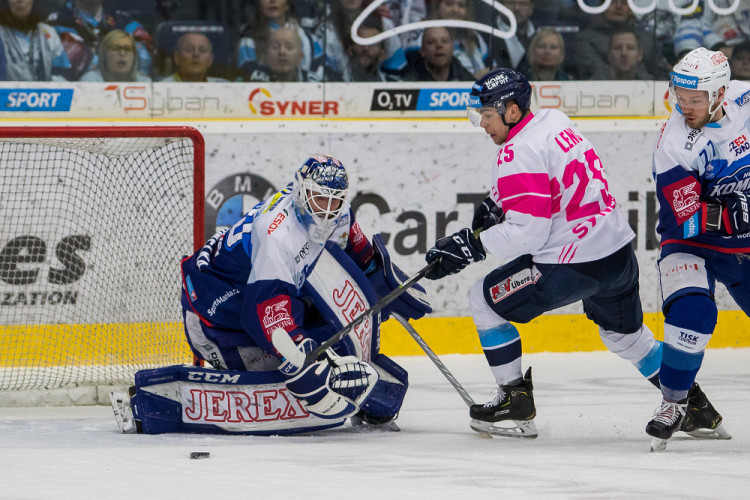 Bílí Tygři dnes Brno neporazili