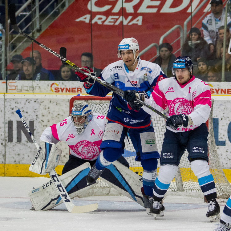 Bílí Tygři dnes Brno neporazili