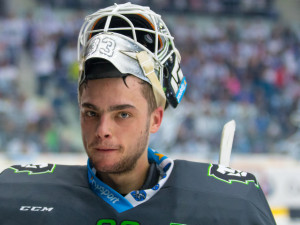 Tygři porazili Boleslav 6:2