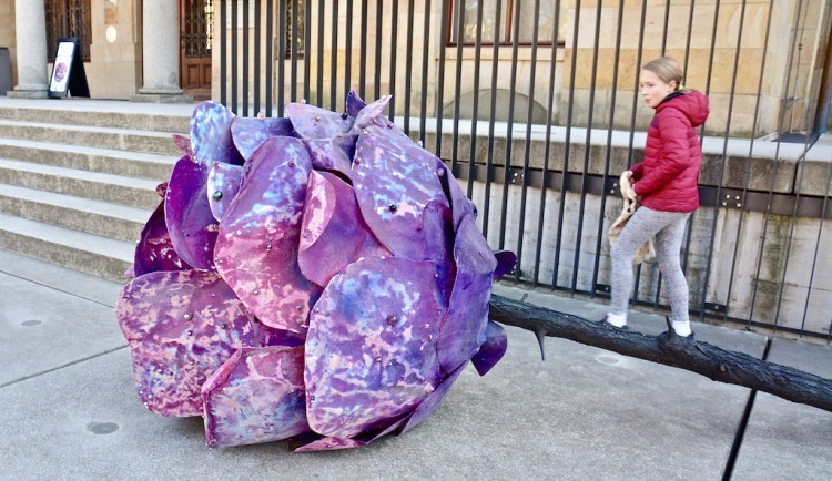 Krása a půvab v liberecké galerii