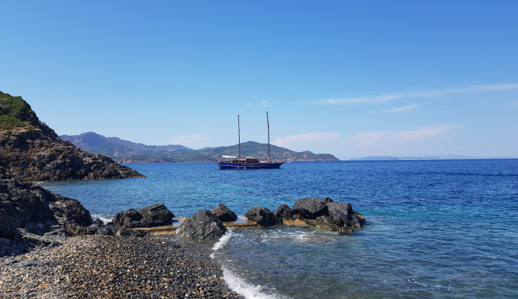 Kristýna Dvořáková