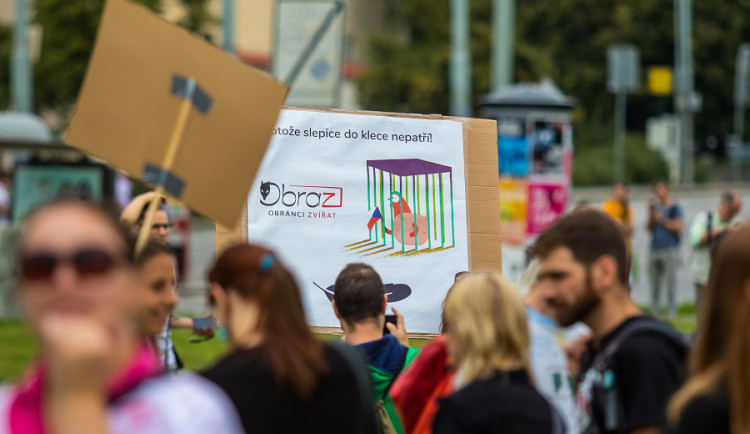 Pochodu za práva zvířat se zúčastnily stovky lidí
