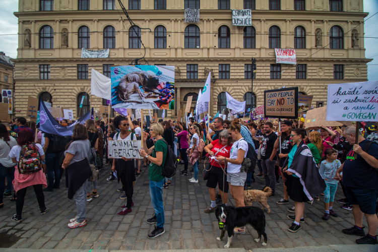 Pochodu za práva zvířat se zúčastnily stovky lidí