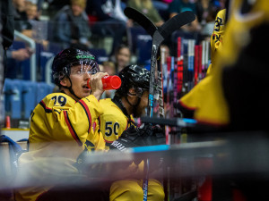 Tygři na Luleou nevyhráli. O výhře se rozhodlo v prodloužení