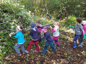 Skauti vyčistili les v Lidových sadech