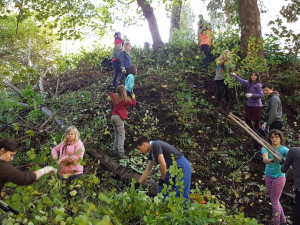 Skauti vyčistili les v Lidových sadech