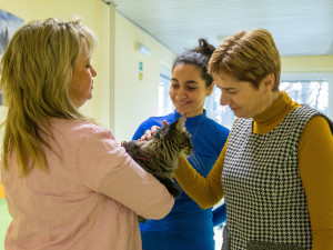 V liberecké nemocnici zlepšují pacientům náladu i zvířecí terapeuti