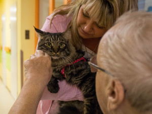 V liberecké nemocnici zlepšují pacientům náladu i zvířecí terapeuti
