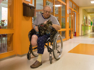 V liberecké nemocnici zlepšují pacientům náladu i zvířecí terapeuti