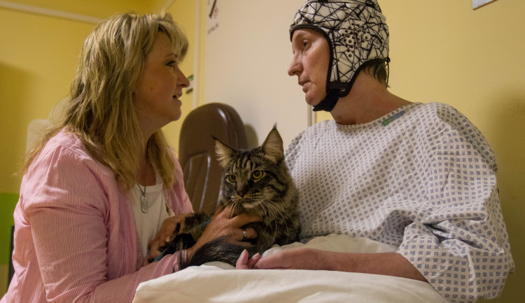 V liberecké nemocnici zlepšují pacientům náladu i zvířecí terapeuti