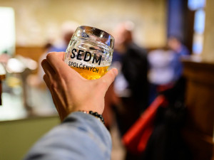 Představení sedmi spolčených