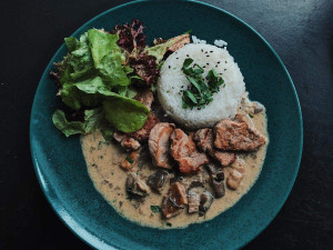 Polední menu v Jungle Gin