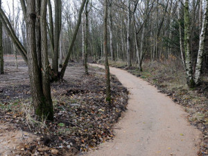 Proměna bývalé skládky