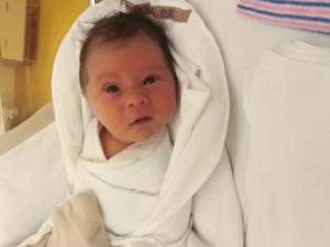 Karolína Kučerová