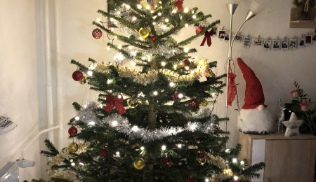 Vánoce s Drbnou: Soutěžní stromečky