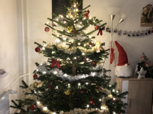 Vánoce s Drbnou: Soutěžní stromečky