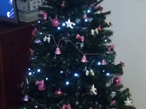 Vánoce s Drbnou: Soutěžní stromečky