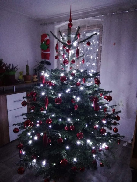 Vánoce s Drbnou: Soutěžní stromečky