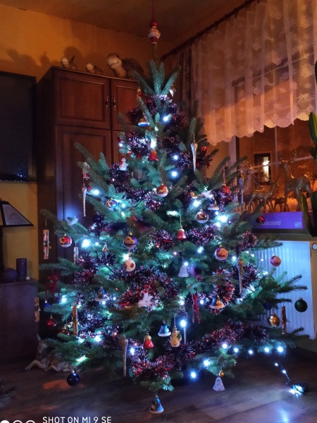 Vánoce s Drbnou: Soutěžní stromečky