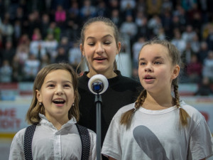 Tygři převálcovali Hradec 5:1