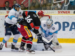 Tygři převálcovali Hradec 5:1