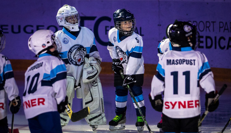 Tygři převálcovali Hradec 5:1