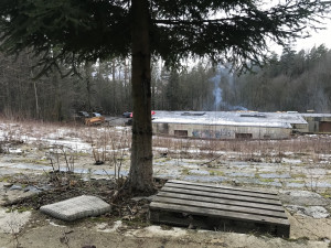 Amfiteátr v Lidových sadech