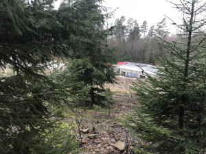 Amfiteátr v Lidových sadech