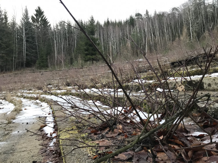 Amfiteátr v Lidových sadech