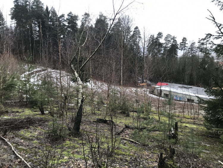 Amfiteátr v Lidových sadech