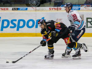 Tygři v napínavém zápase vyhráli nad Litvínovem 5:4