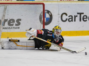 Tygři v napínavém zápase vyhráli nad Litvínovem 5:4