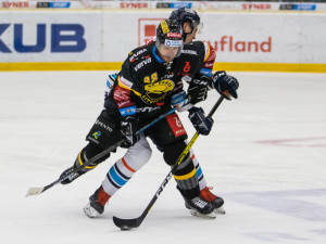 Tygři v napínavém zápase vyhráli nad Litvínovem 5:4