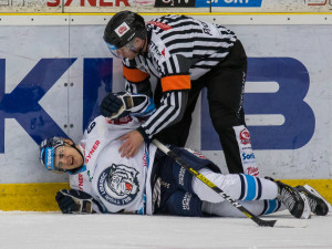 Tygři vyhráli nad Plzní a získali Prezidentský pohár