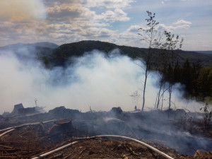 Požár u Malé Skály