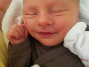 Štěpánka Fibikarová