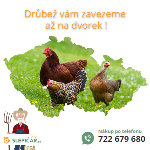 Slepičář