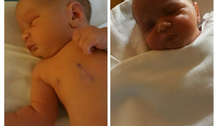 Emmička a Ellinka Netolické