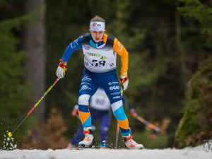 Český pohár v běhu na lyžích